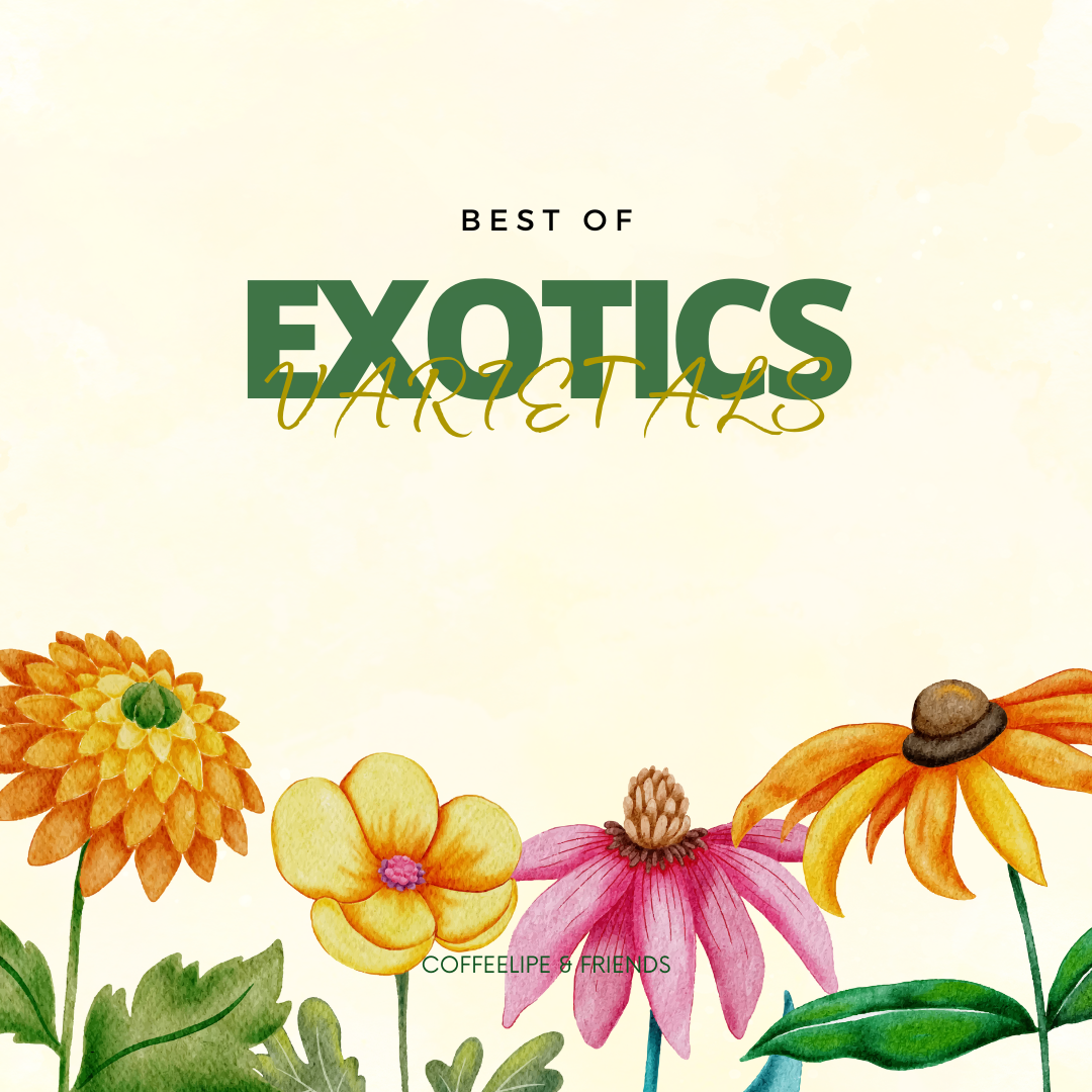 Exotics