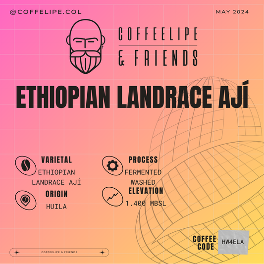 Ethiopian Landrace Ají Fermented Washed