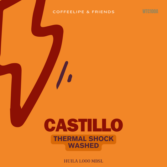 Castillo Thermal Shock Washed