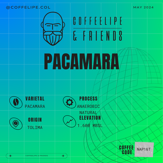 Pacamara Anaerobic Natural