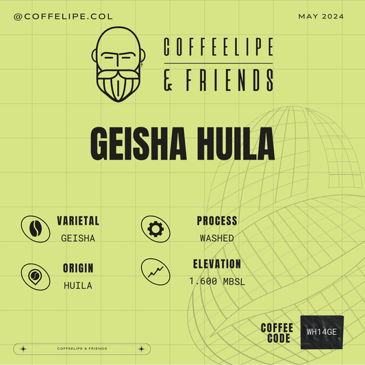 Geisha Huila