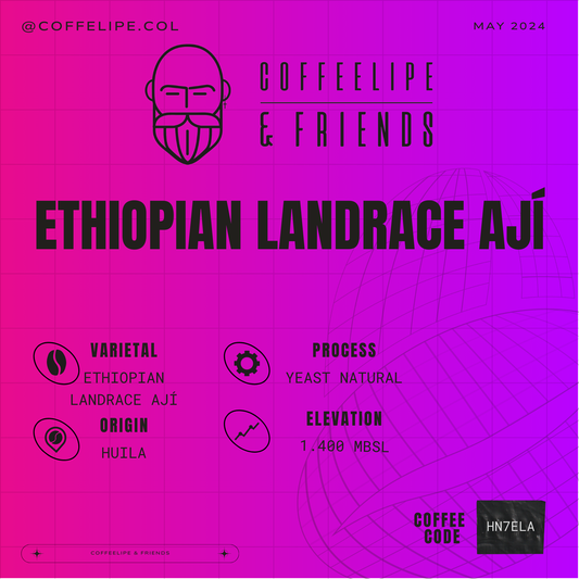 Ethiopian Landrace Ají Yeast Natural