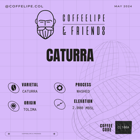 Caturra